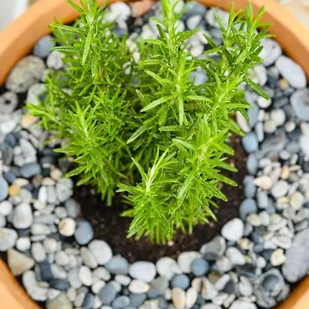 Your Perfect Escape In Emporios! * Emborios