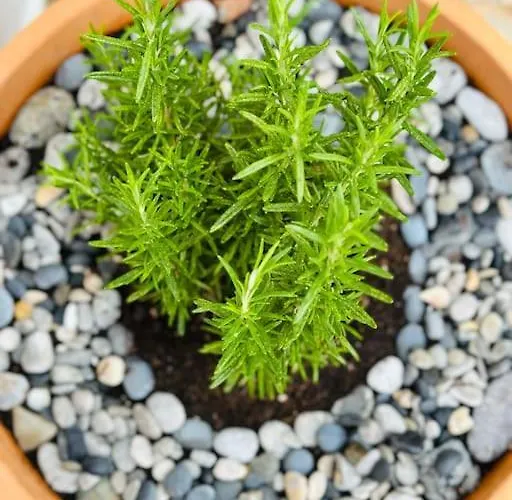 Your Perfect Escape In Emporios! * Emboriósz